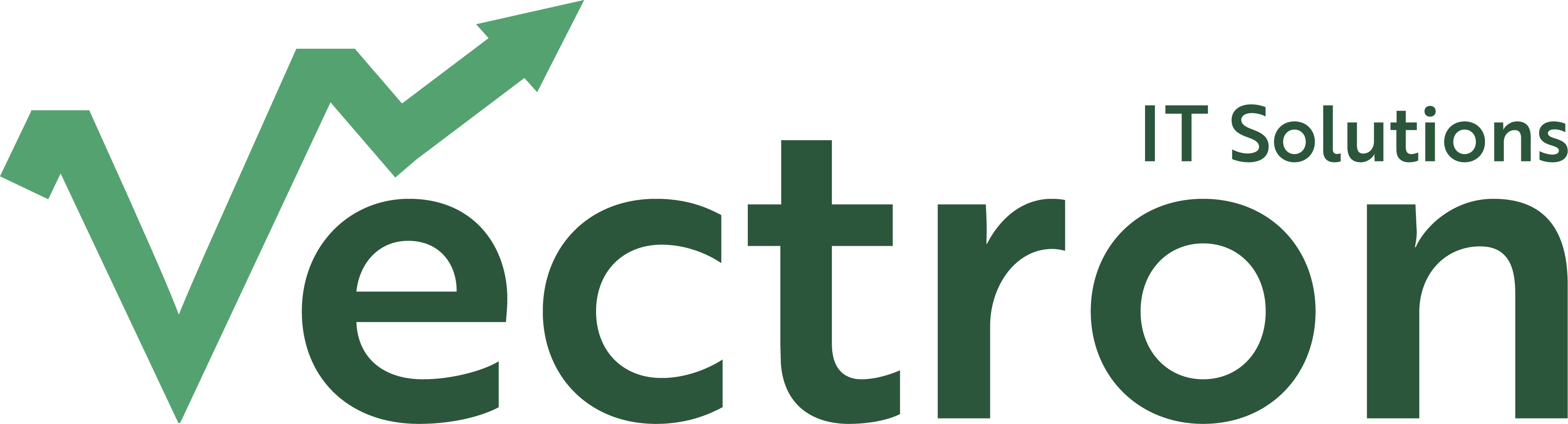 Vectron IT Solutions